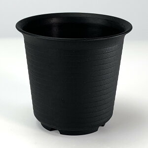 v 3.5 X^_[h۔ ubN TB35L 10.4cm×9.6cm ~j~ ~jϗt A 򍪐A ۖ~ vX`bN vX`bN|bg