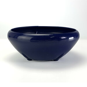 v 6 S  17.2cm×6.8 cm ~j~ ~jϗt A 򍪐A ۖ~ vX`bN vX`bN|bg