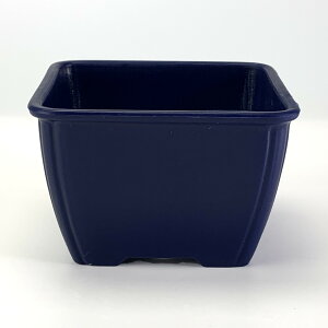 v 3 p  9.7cm×6.3cm ~j~ ~jϗt A 򍪐A ۖ~ vX`bN vX`bN|bg