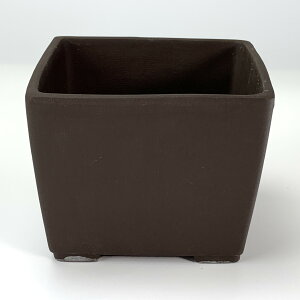 ~͔ ˏ p4 ED 11.5cm×8.7cm Aؔ R쑐 픫 ~ ۖ~ ϗtA A