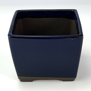 ~͔ ˏ p4 q 11.5cm×8.7cm Aؔ R쑐 픫 ~ ۖ~ ϗtA A
