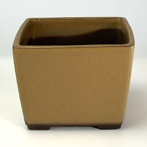~͔ ˏ p4 ? 11.5cm×8.7cm Aؔ R쑐 픫 ~ ۖ~ ϗtA A