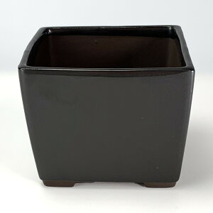 ~͔ ˏ p4 }bg 11.5cm×8.7cm Aؔ R쑐 픫 ~ ۖ~ ϗtA A