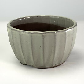 盆栽鉢 瀬戸焼 菊型4号 クリーム 幅12.5cm×高さ7cm 植木鉢 山野草鉢 陶器鉢 盆栽 苔盆栽 観葉植物 多肉植物