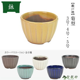 盆栽妙【瀬戸焼】 菊型 盆栽鉢 3号 4号 5号 ウ泥 生子 クリーム オリベ 黄 黒マット 幅9.8cm 幅12.5cm 幅15cm 盆栽鉢 山野草鉢 植木鉢 丸形 小鉢 盆栽 山野草 観葉植物 多肉植物