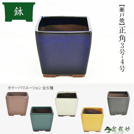 盆栽妙【瀬戸焼】 正角 3号 4号 ウ泥 生子 クリーム オリベ 黄色 黒マット 幅8.5cm 幅11.5cm 盆栽鉢 山野草鉢 植木鉢 正角 小鉢 盆栽 山野草 観葉植物 多肉植物