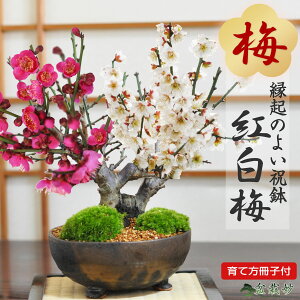 ~j~ ~ g~  ~ g~ ~ ~̃~j~  i CeA S   g v[g Mtg 蕨  a ̓ ̓ jސE JXj N  z Vz 