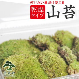 苔 ヤマゴケ 乾燥苔 山苔 パック 苔玉 苔テラリウム 苔盆栽 コケリウム 植物 ビオトープ 庭園