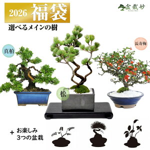 ~͖IWiVt ̖~͕ ~͌v4_ ܗt/~/^Iׂ ܂R쑐 ܂~ A  ~͂͂߂ ܗt ~ ^ R쑐 ~j~ ~͖