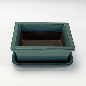 ~͔ ~j~͔ y݌ÏāzIx4.5pؑ@󂯎Mt R쑐 픫 a ` p