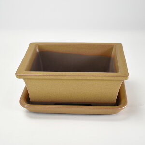 ~͔ ~j~͔ y݌Ïāz4.5pؑ@󂯎Mt R쑐 픫 a ` p