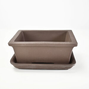 ~͔ Aؔy݌ÏāzED 4.5pؑ 󂯎Mt R쑐 픫 a ` p