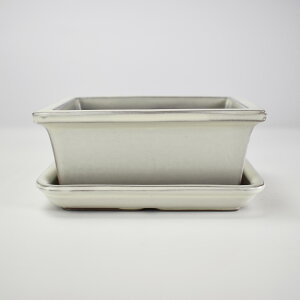 ~͔ Aؔy݌ÏāzN[ 4.5pؑ 󂯎Mt R쑐 픫 a ` p