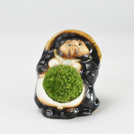 信楽焼福たぬきの苔盆栽 オス プレゼント ギフト 贈り物 誕生日 記念日 母の日 父の日 敬老の日