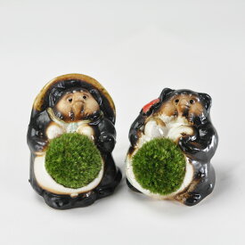 信楽焼福たぬきの苔盆栽 カップル プレゼント ギフト 贈り物 誕生日 記念日 母の日 父の日 敬老の日
