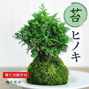 ~ qmL ۋ ~j~ ۋʖ~ ۖ~ w Ђ̂  S  ӏ ~ v[g Mtg 蕨 ̓ ̓ hV̓ a j ސE JXj N   w 