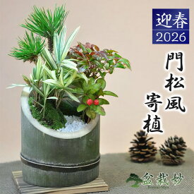 盆栽 門松風寄植 門松 お正月飾り アレンジ ミニ門松 ミニ盆栽