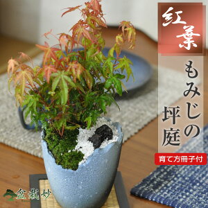 gt ݂̒ؒ ~W gt~ Ԃt H̕i a뉀 {뉀 ~͔A CeA Ϗܗp Mtg 蕨 hV̓ a LO ̓ ̓ NX}X Vzj JX