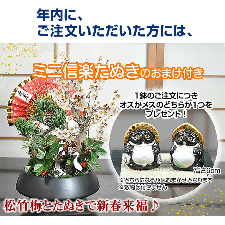 楽天市場】盆栽妙オリジナル新春福袋 至高の盆栽福袋 盆栽計4点 五葉松 