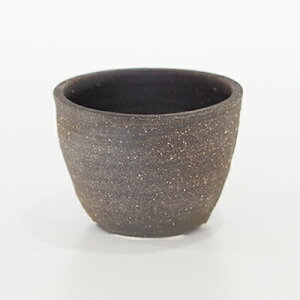 ~͔ My Ԃ蔫  4 11.5cm×8cm