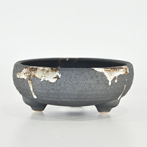 ~͔ My 6 S Ԃ 18cm×7.5cm