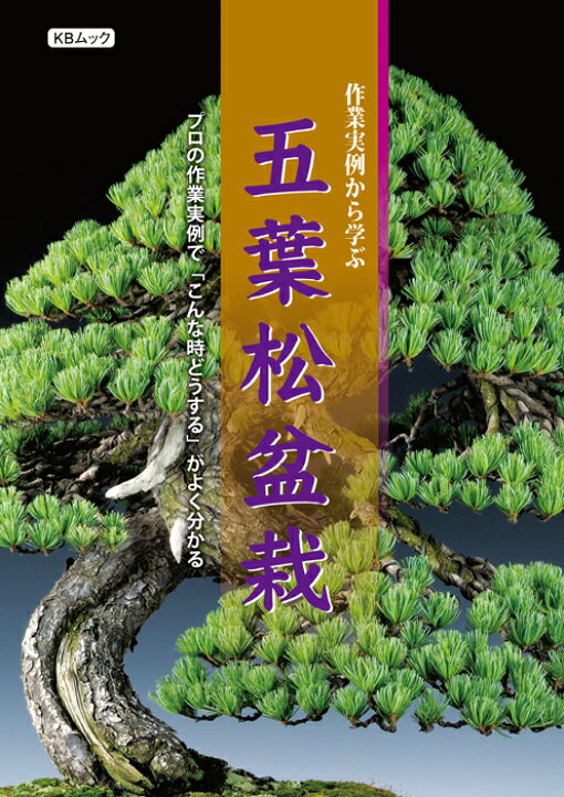 楽天市場】書籍 本 盆栽専門誌「作業実例から学ぶ 五葉松盆栽 