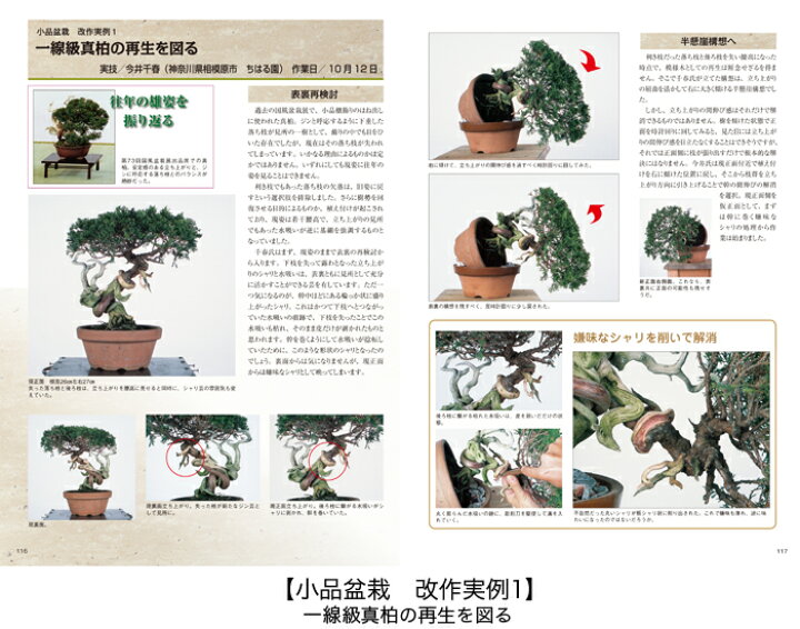 楽天市場】書籍 本 盆栽専門誌「真柏のすべて」 シンパク 剪定 整姿 