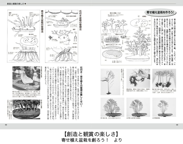 楽天市場 書籍 本 盆栽専門誌 盆栽入門マニュアル2 図解篇 年間作業 管理 手入れ 送料無料 主要25樹種 赤松 黒松 五葉松 真柏 山もみじ 楓 長寿梅 くちなし など Bonsai 彩都 楽天市場店