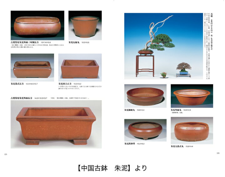 楽天市場】書籍 本 盆栽専門誌「盆器大図鑑 中巻」盆栽鉢 図鑑 写真集 