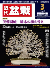 楽天市場 近代盆栽 月刊の通販