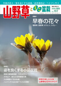 uuR쑐ƃ~j~́v15NVt