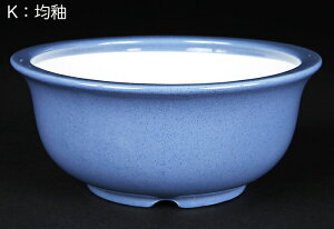 ~͔ F uØaxOo^۔ v 5 14cm  i~ ~j~ R쑐ɍœK