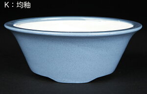 ~͔ F uØaxO۔ v 5 14cm  i~ ~j~ R쑐ɍœK
