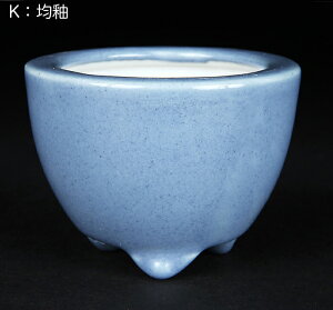 ~͔ F uØaxo^۔  v 2 6cm  i~ ~j~ R쑐ɍœK