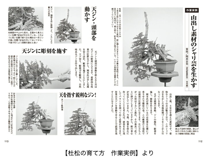 楽天市場】【送料無料】 盆栽 育て方 本 真柏・杜松の育て方 （盆栽樹 