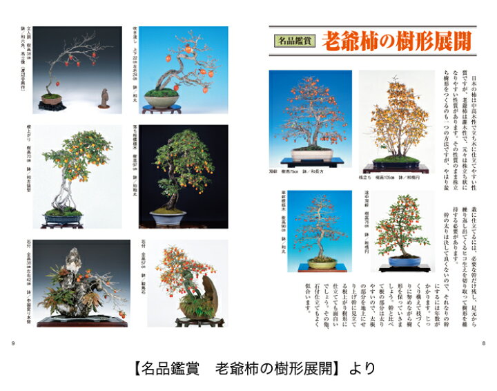 楽天市場】書籍 本 盆栽専門誌「老爺柿・きんずの育て方」ローヤ柿 
