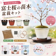 盆栽キット 季節の盆栽と鉢のおまかせセット 「桜」盆栽 入門セット 送料無料 初心者 本格的 セットでお…