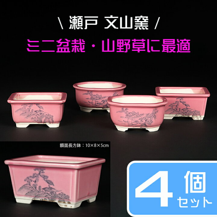 楽天市場】盆栽鉢 植木鉢 「瀬戸焼文山窯色絵鉢4点セット・桃」 色鉢 
