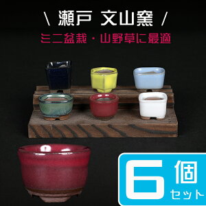 ~͔ uˏĕRqF6_Zbgitjv Aؔ F 1 3cm   i~ ~j~ R쑐ɍœK Zbg yz