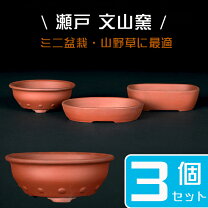 楽天市場】盆栽鉢 朱泥の通販