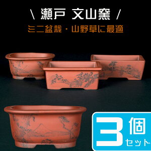 瀬戸焼 盆栽鉢の人気商品・通販・価格比較 - 価格.com