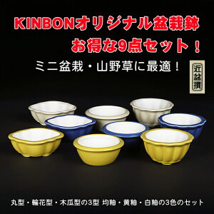 ~͏ KINBONIWi~͔9_Zbg    ۔ ։ ؉Z 3 4 i~ ~j~ R쑐ɍœK