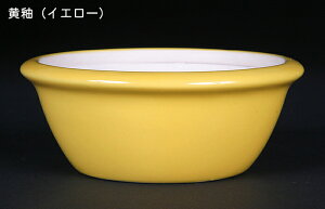 ~͏ KINBONIWi~͔ ی^ 3 ۔ Ԍ10cm    i~ ~j~ R쑐ɍœK