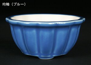 ~͏ KINBONIWi~͔ ֌^ 3 ։Ԏ Ԍ10cm    i~ ~j~ R쑐ɍœK