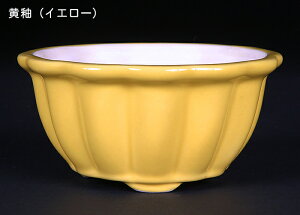 ~͏ KINBONIWi~͔ ֌^ 3 ։Ԏ Ԍ10cm    i~ ~j~ R쑐ɍœK