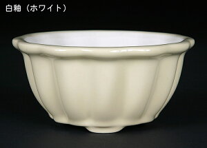 ~͏ KINBONIWi~͔ ֌^ 3 ։Ԏ Ԍ10cm    i~ ~j~ R쑐ɍœK