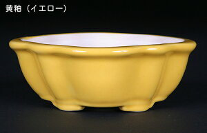 �~�͏��� KINBON�I���W�i���~�͔� �؉Z�^ 4�� �Ԍ�11cm ���� ���� ���� ���i�~�� �~�j�~�� �R�쑐�ɍœK