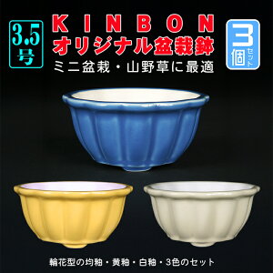~͏ KINBONIWi~͔ ։Ԏ3_Zbg    3 i~ ~j~ R쑐ɍœK