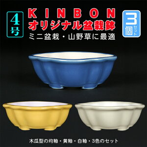 ~͏ KINBONIWi~͔ ؉Z3_Zbg    4 i~ ~j~ R쑐ɍœK