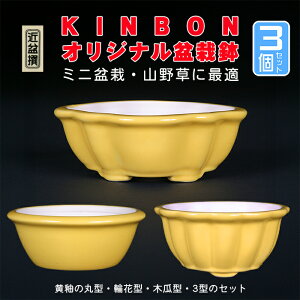 ~͏ KINBONIWi~͔ 3_Zbg ۔ ։ ؉Z 3 4 i~ ~j~ R쑐ɍœK